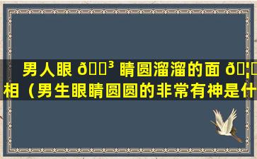 男人眼 🐳 睛圆溜溜的面 🦋 相（男生眼睛圆圆的非常有神是什么样）